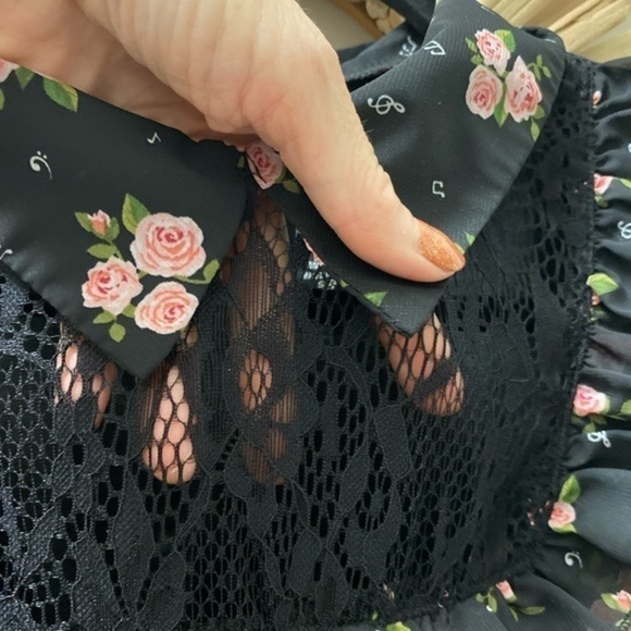 Hot Topic Darling Black Dress with Pink Roses - Picture 6 of 14